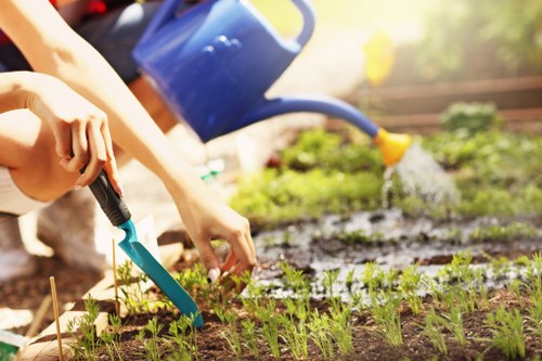 Landscape maintenance website cookie policy illustration