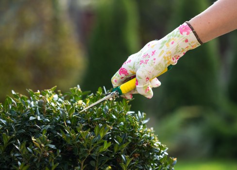 Decorative image representing accessible landscaping information in Barking