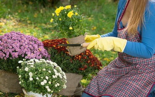 Free quote policy for landscaping services in Barking