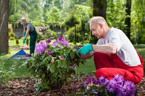 Improved garden drainage for a Barking home and patio
