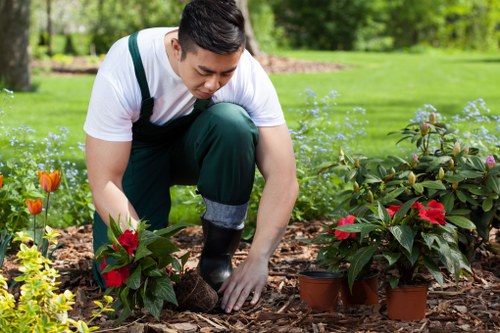 Local soft landscaping in Barking for a compact urban garden with planting and mulch