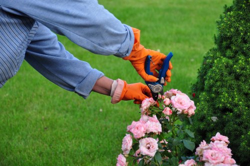 Safe and insured landscaping service in Barking on a residential garden site