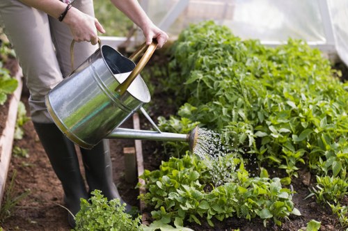 Landscape gardener wearing PPE while maintaining a garden